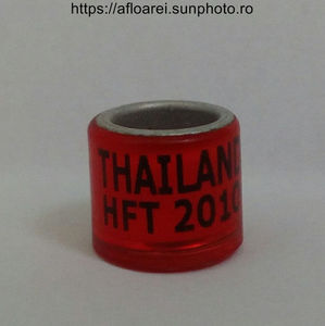 THAILAND HFT 2010