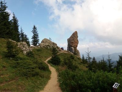 Cuşma Dorobanțului