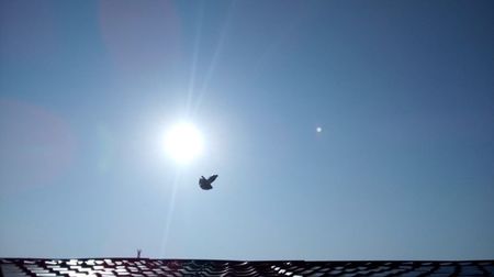 IMG-20180907-WA0003