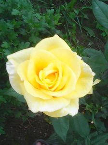 Photo0254