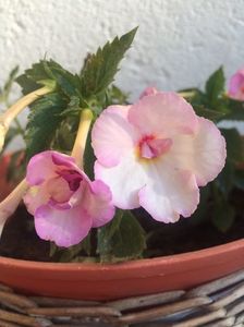 20.09.2018