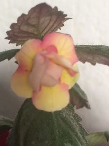 21.09.2018