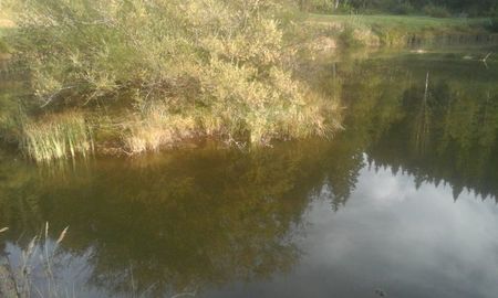 Balta de pescuit a pensiuni