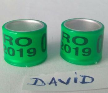 2019- 10mm....-1 leu
