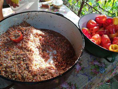 ARDEI UMPLUT CU VARZA