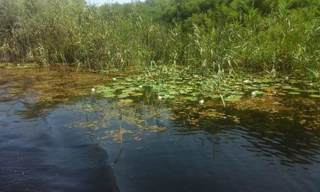 IMG-20181001-WA0083