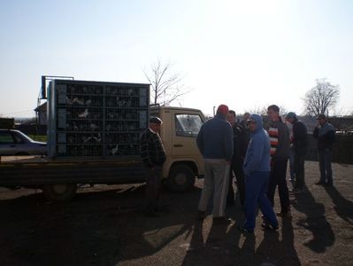 SANY5870