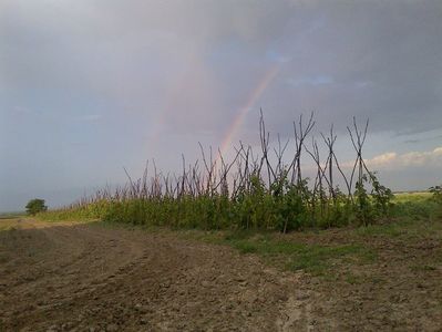 IMG-20140522-00619