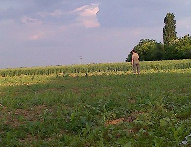 IMG-20140522-00620