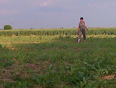 IMG-20140522-00624