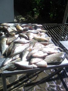 Photo0413