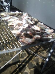 Photo0415