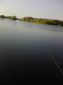 Photo0437