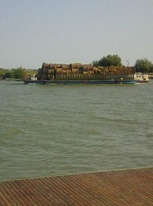 Photo0440