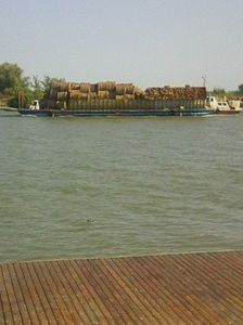 Photo0441