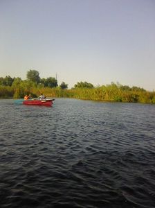 Photo0451