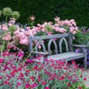 fragant garden