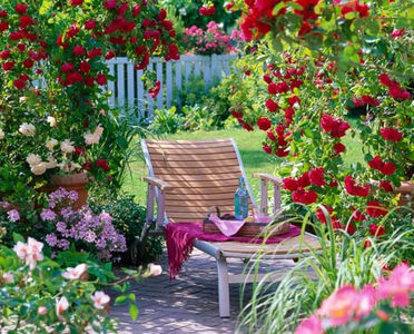 fragrant relaxing spot