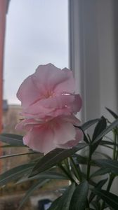 20171207_101851_HDR