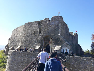 Cetatea Neamtului (14)