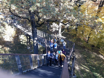 Parcul Natural Vanatori Neamt (8)