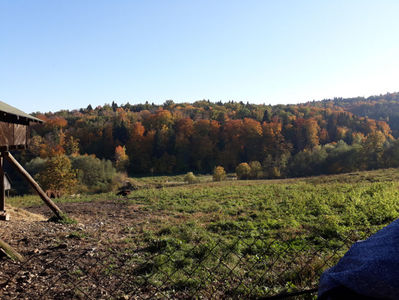 Parcul Natural Vanatori Neamt (42)