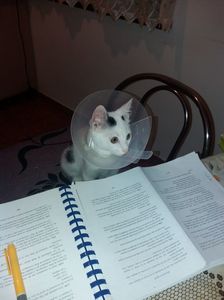 ; Hmmm ce interesant !
