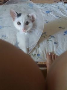 ; De ce te uiti la mine ?!
