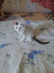 ; Stiu ca sunt caraghios... :(
