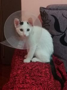 ; Da chiar nu prind niciun post :(
