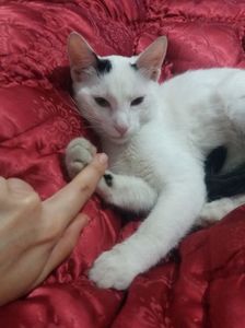 ; Dar mami nu ma lasa sa dorm hmmm..
