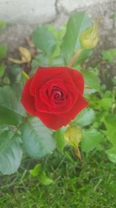 received_465147437344806