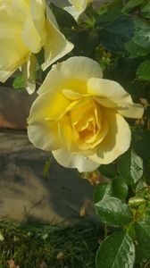 received_317401829076516