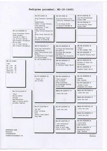 17-final-520km-chirtoaca-vlad-moldova-md-2018-14401-17-chirtoaca-vlad-moldova-md-2018-14401-1