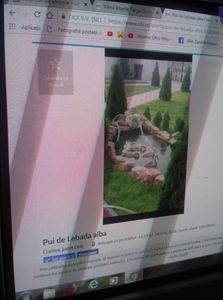 IMG-20180624-WA0004