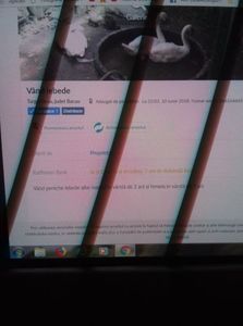 IMG-20180624-WA0011