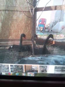 IMG-20180624-WA0017