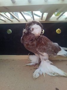 received_464723453935886