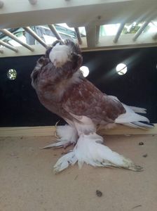 received_201072040784747