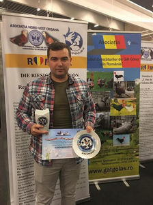 Bodea Andrei; Rezultatele mele la Expoziția Europeană, Herning, Danemarca 2018.
Campion European Colecție Brahma Columbia Galben-Negru 379 pct.
Mascul - 96 pct. E2
Femela 1 - 96 pct. E3
Femela 2 - 94 pct.
Femela 3 
