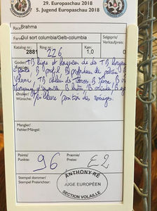 Bodea Andrei; Rezultatele mele la Expoziția Europeană, Herning, Danemarca 2018.
Campion European Colecție Brahma Columbia Galben-Negru 379 pct.
Mascul - 96 pct. E2
Femela 1 - 96 pct. E3
Femela 2 - 94 pct.
Femela 3 
