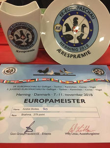 Bodea Andrei; Rezultatele mele la Expoziția Europeană, Herning, Danemarca 2018.
Campion European Colecție Brahma Columbia Galben-Negru 379 pct.
Mascul - 96 pct. E2
Femela 1 - 96 pct. E3
Femela 2 - 94 pct.
Femela 3 
