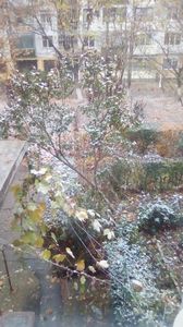 Prima ninsoare din aceasta iarna; Categoric, a venit iarna! (16.11.2018)
