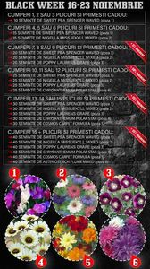 Oferta Black Week; Oferta Black Week - 16 - 23 noiembrie 2018
