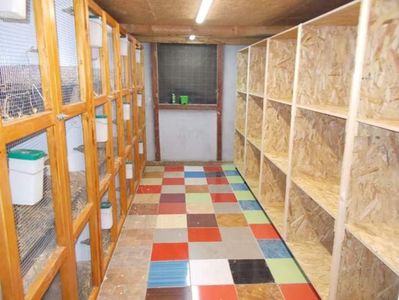 12 boxe stanga pentru femele