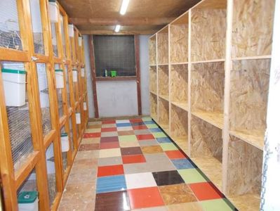 15 boxe dreapta pentru tineret