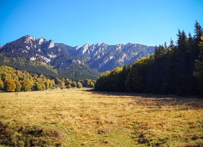 Poiana Gropșoarele