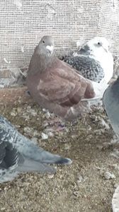 20181119_100719(0)