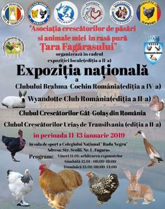 IMG-20181119-WA0066