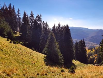 Spre Vf. Ciucaș